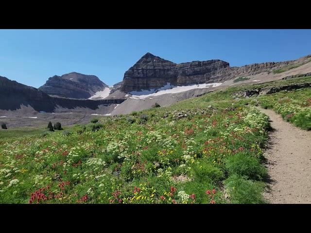 Mount Timpanogos