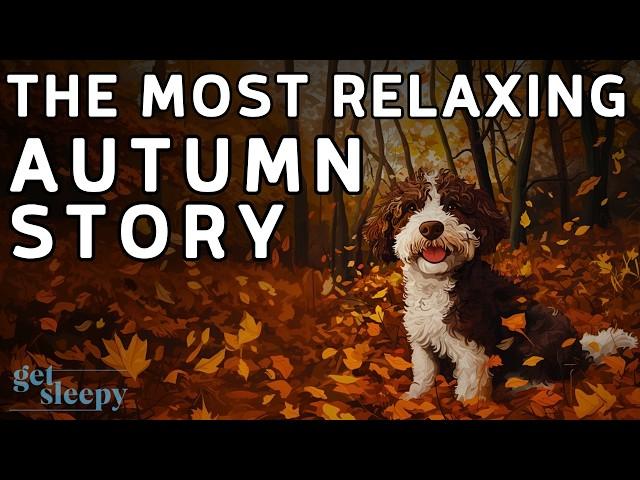 The PERFECT Autumn Story  Truffle Hunting in Piedmont | Relaxing Sleepy Story