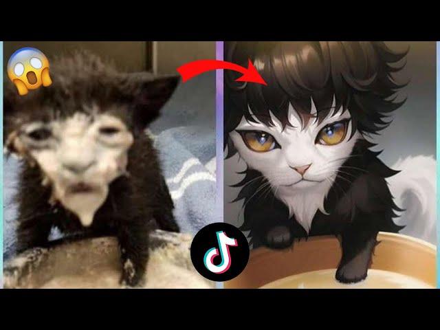 I TRY AI MANGA FILTER TIKTOK ON MY CATS (Funny Results Compilation)