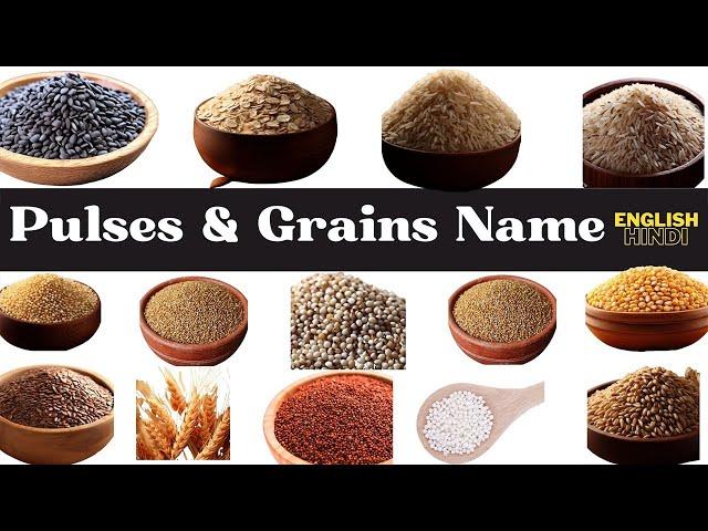 Pulses and Grains name in english and hindi with pictures  | अनाजों के नाम इंग्लिश और हिंदी में