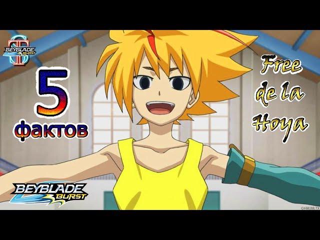 5 interesting facts about Free de la Hoya! Favorite Heroes Beyblade Burst