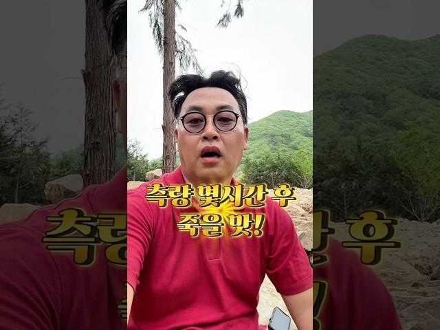 측량 죽을 맛!! 드론으로 하면 될것을 뭐하니? 그냥 몸으로 뛴다며!! 내업없이 현장에서 끝낼거냐 내업으로 만들어 낼거냐!