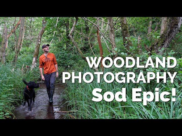 Enjoy Woodland Photography and Sod Epic!