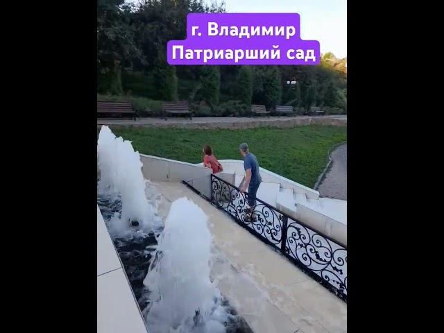 #владимир #сад Патриарший