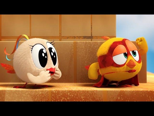 Where's Chicky? Funny Chicky 2023 | SUPER CHICKY | Cartoon in English for Kids | New episodes