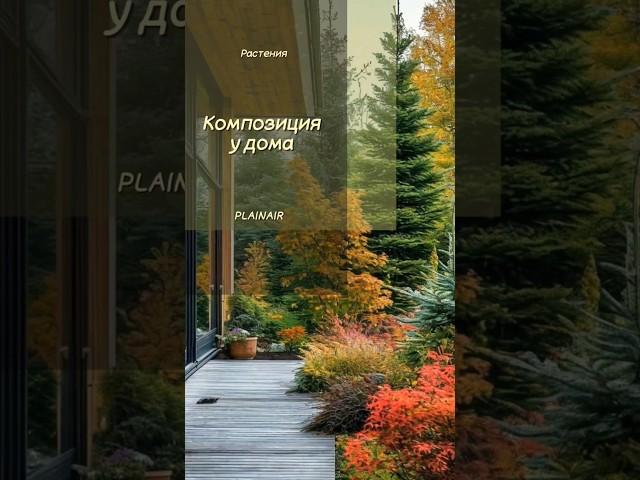 Готовая композиция для сада. Простой миксбордер #ландшафтныйдизайн #дача #загородныйдом #сад