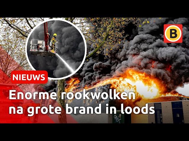 Grote brand in loods van recyclingbedrijf | Omroep Brabant