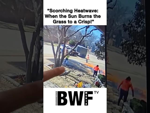 “Scorching Heatwave: When Sun Burns the Grass a Crisp!”