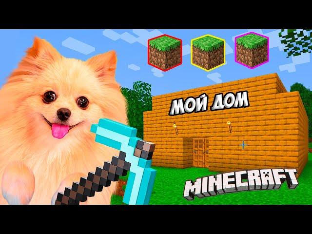 Я ВЕРНУЛАСЬ В МАЙНКРАФТ ! ПОСТРОИЛА СВОЙ МАЛЕНЬКИЙ ДОМИК ! MINECRAFT