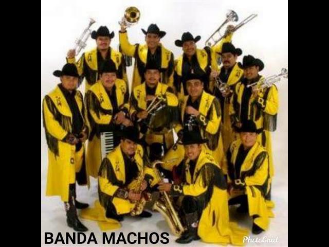 Banda Machos el viejo joven VS Banda Maguey el joven viejo
