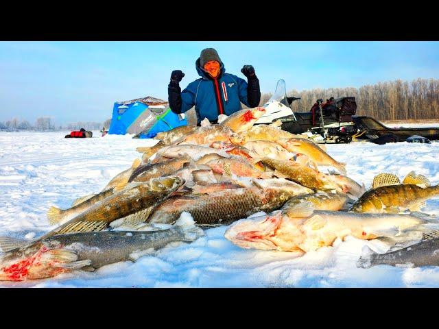 НЕВОЗМОЖНО ПОВЕРИТЬ! ТАКОЙ КЛЁВ БЫВАЕТ РАЗ В ЖИЗНИ! Рыбалка с ночёвкой 2025