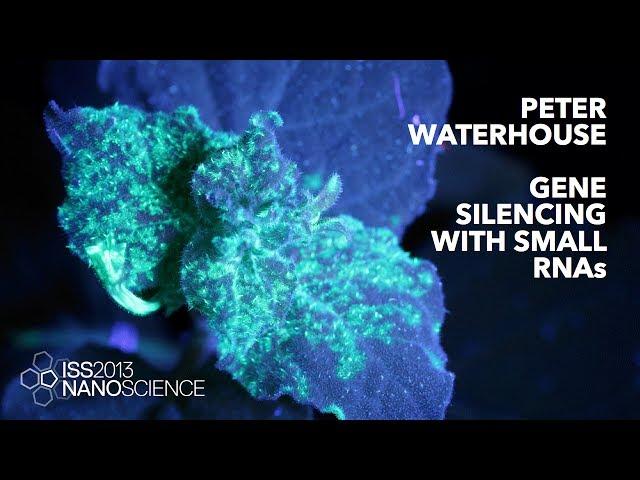 Gene Silencing with Small RNAs — Peter Waterhouse, ISS2013