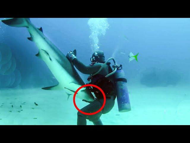 10 Unbelievable Shark Moments Caught on Camera