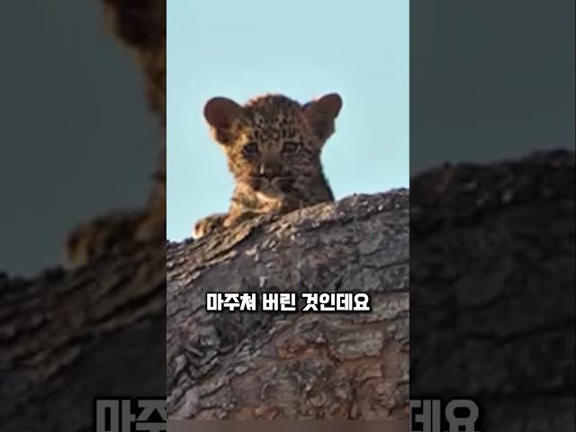 눈 마주친 순간 끝났습니다