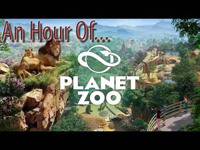 An Hour of... Planet Zoo [Beta]