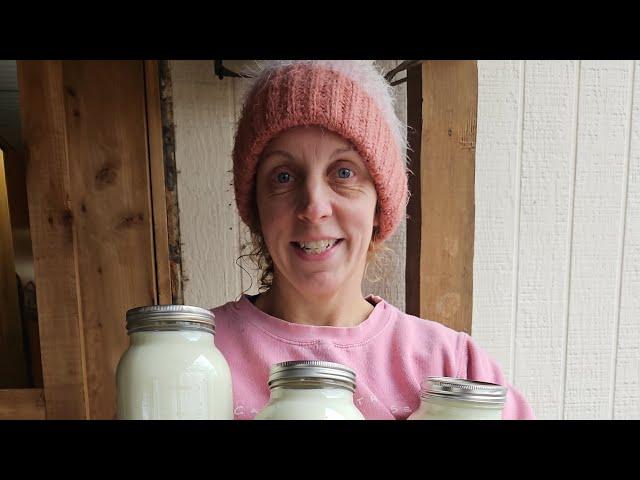 Homestead Chores: Milking my cow part 2!