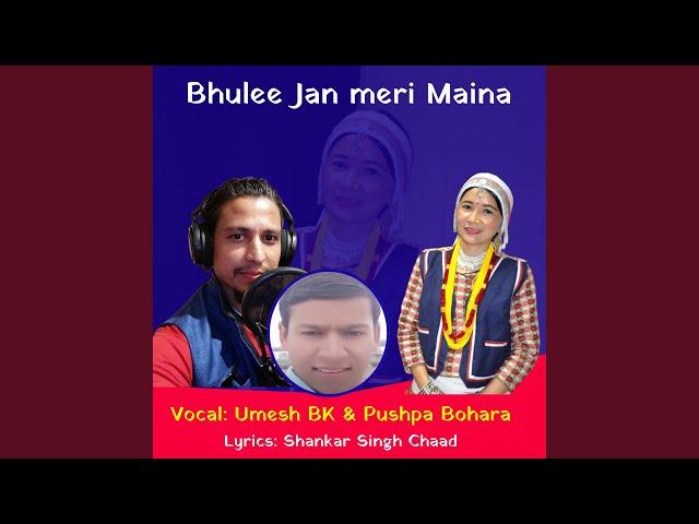 Bhulee Jan meri Maina