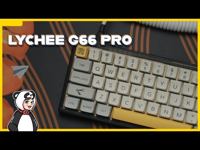 Building my $120 Keyboard | Lychee G66 Pro with brassplate