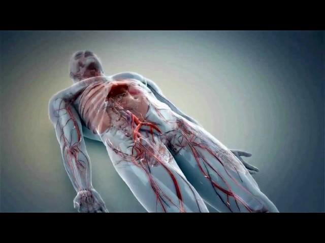 Medical Animation Videos At Get Animated
