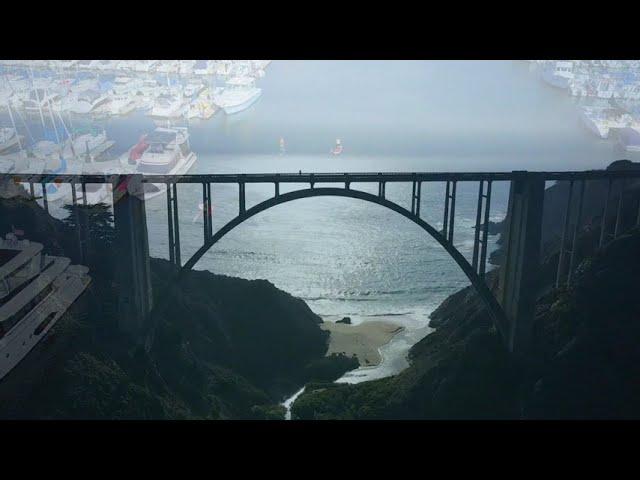 Yurikud - California