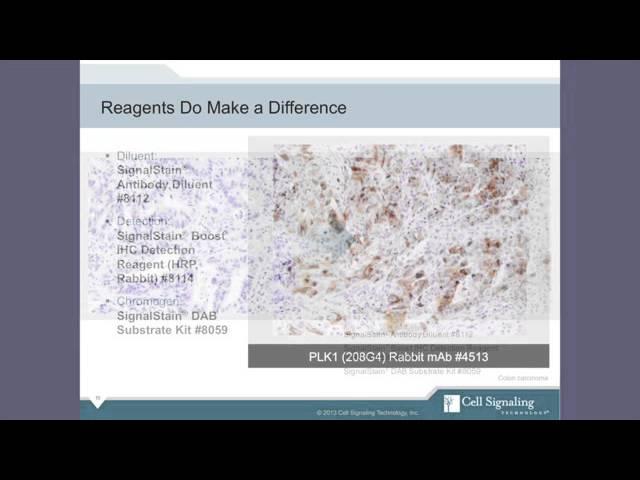 Immunohistochemistry IHC Tips and Techniques