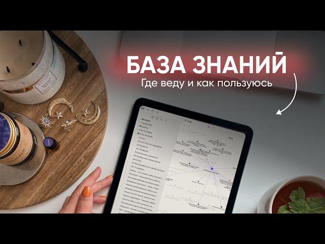 МОЯ БАЗА ЗНАНИЙ // Как она помогает мне в работе и жизни