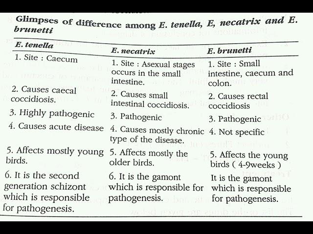 Difference among Eimeria tenella, Eimeria necatrix and Eimeria brunetti