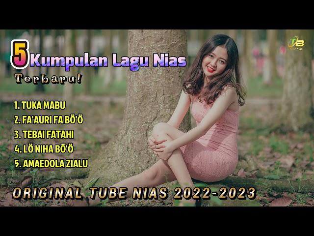 Kumpulan Lagu Tube Nias 2022 -2023 / Dhut Remix Nias Pargoy Extra Bass