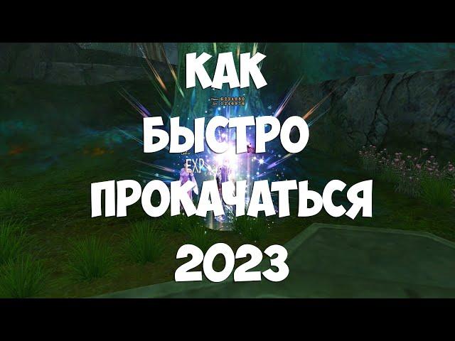 КАК БЫСТРО ПРОКАЧАТЬ ПЕРСА В PERFECT WORL НА ОФФЕ 2023