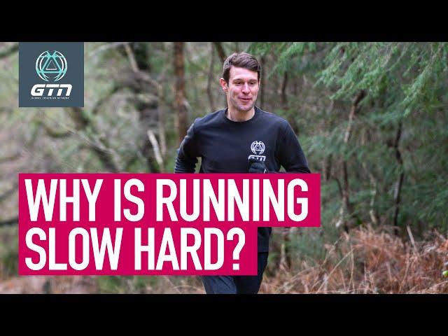 Why Is Running Slow So Hard?