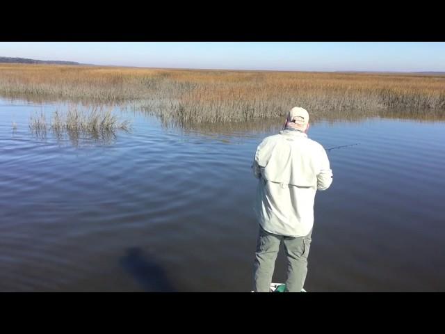 Shallow water sight fishing Georgia