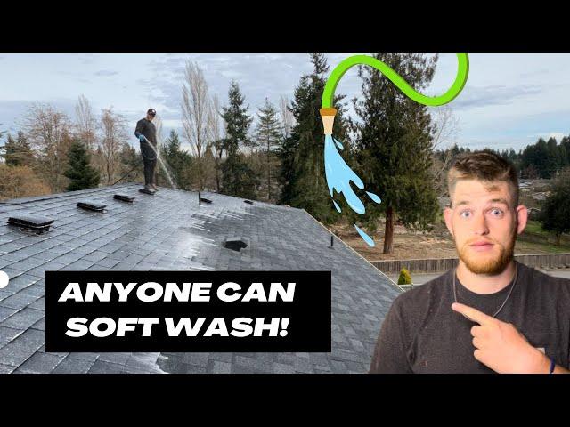 How anyone can soft wash a roof with cheap tools