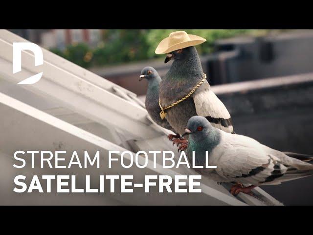 DIRECTV | For The Birds | Coach :30