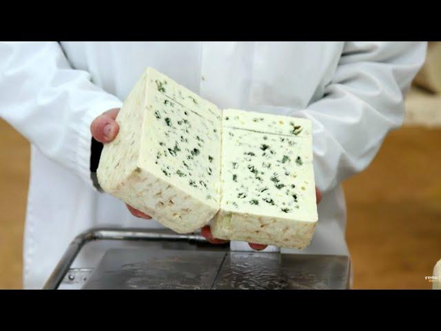 Roquefort, secrets de fabrication de la star des fromages