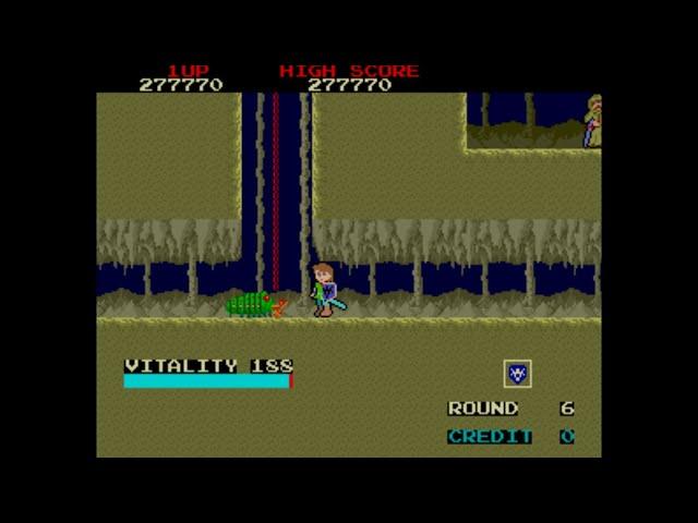 Dragon Buster [Arcade Longplay] (1985) Namco