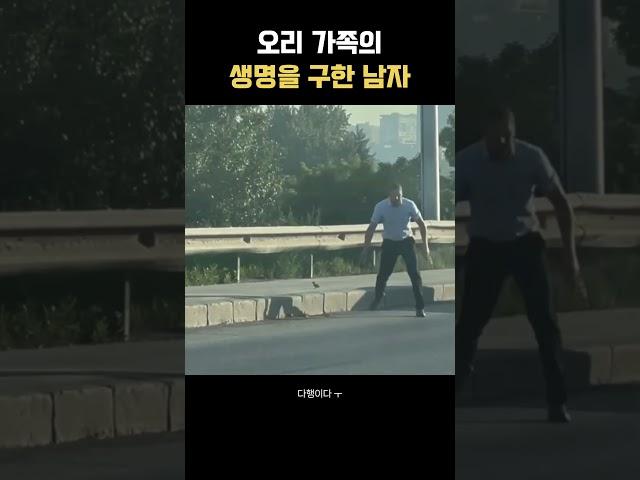 오리가족 구한 남자