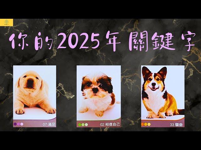 【占卜】2025年你的關鍵字是什麼？哪方面運勢特別的旺？｜雷諾曼卡｜塔羅牌｜EP146｜CC字幕