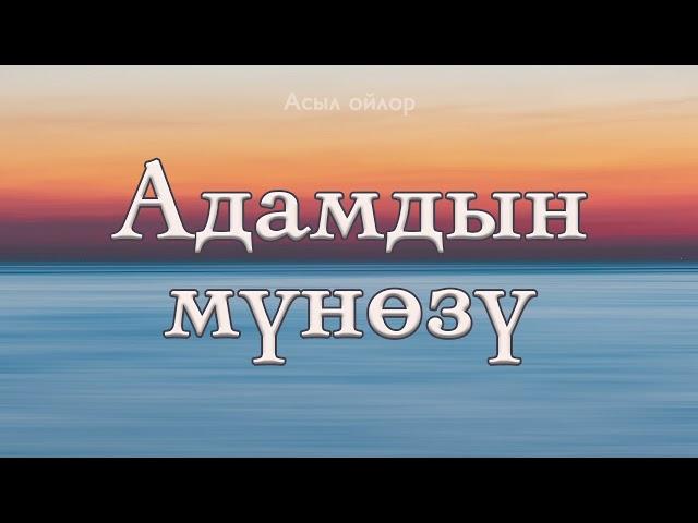 Адамдын мүнөзү