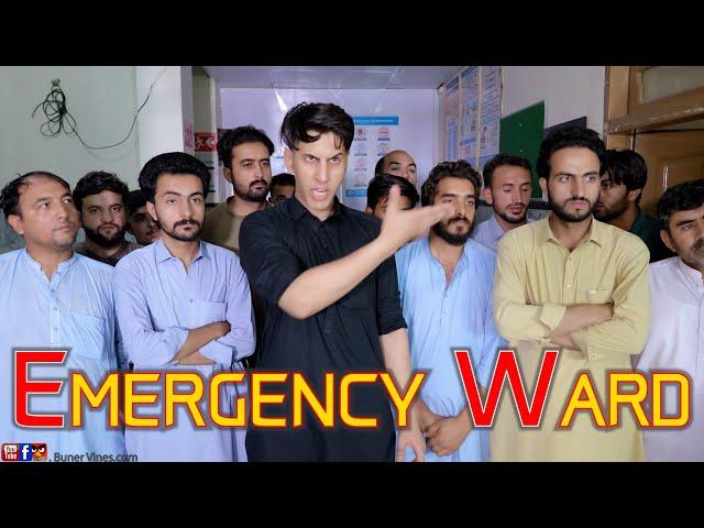 Emergency Casualty Problems | Buner Vines