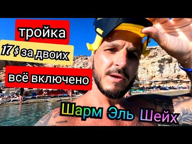 Самый дешёвый отель Badawia Sharm Resort в Шарм Эль Шейхе/Старый город Хадаба/Красивый риф/Египет