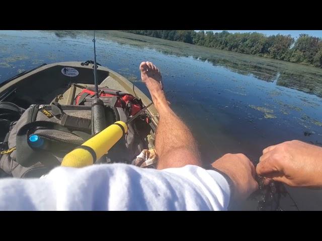 Kayak fishing Flint Creek backwater,  North Alabama