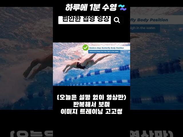 편안한 접영 슬로우 영상 #수영배우기