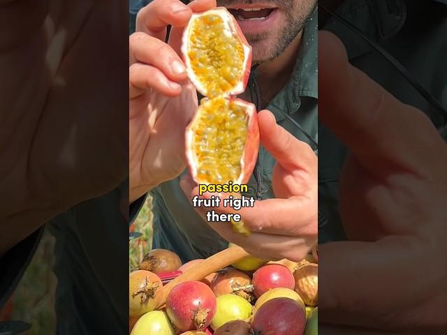 Juicy Passion Fruit Harvest #shorts