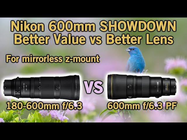 Comparing Nikon 600mm Mirrorless Lenses, 180-600mm zoom vs. 600mm PF