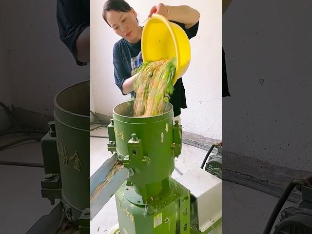 WA:+86 19939724755       Diesel pellet machine solves the problem of insufficient electricity