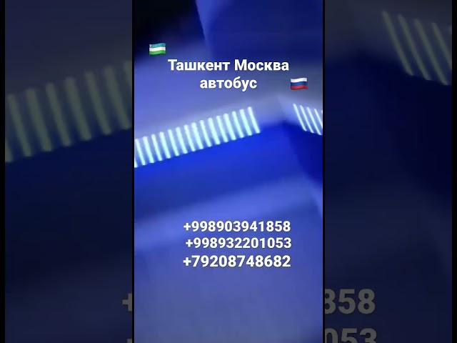 #ташкент #москва #автобус #россия #узбекистан #автобус