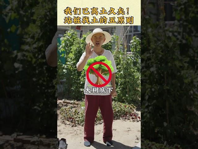 【史楍酼】我们离土已久矣，站桩找土的五原则 #养生 #站桩 #站桩
