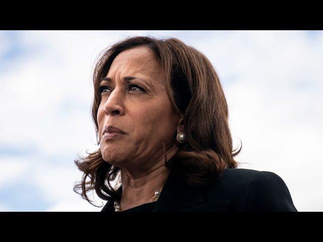 ‘Refuses to comment’: Kamala Harris blasted for media silence