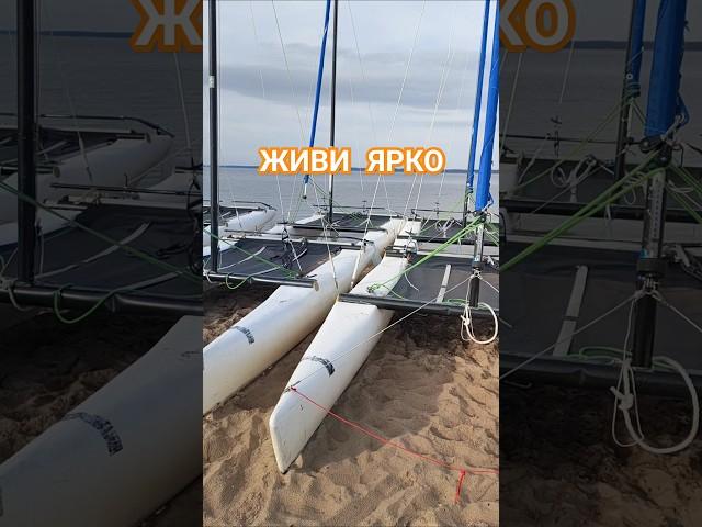 ЖИВИ ЯРКО!