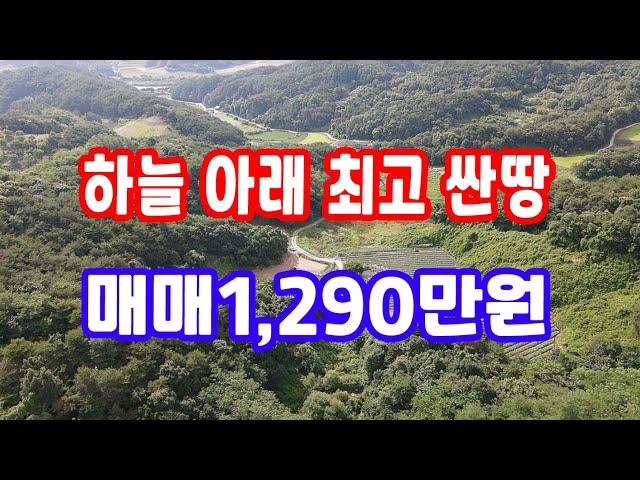 땅 시골 땅,매매1,290만원 평당2만원 급매물과 반값매매 1,096만원 급다운 급매물